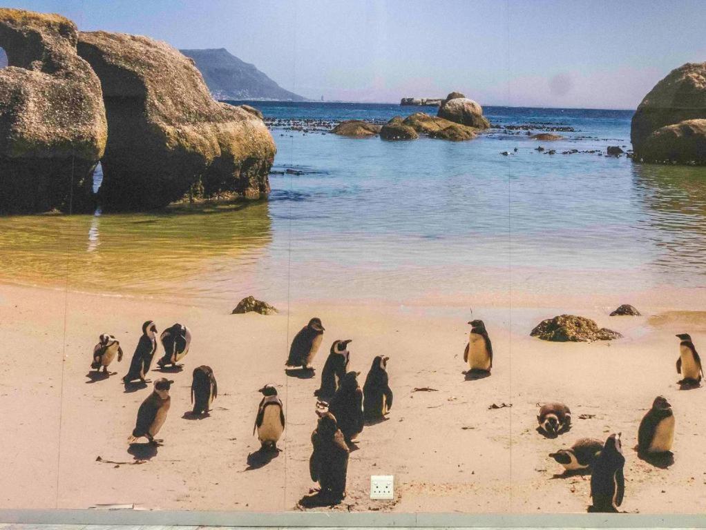 Centurion 207 Luxury Sea Point One Bedroom With Access To Magnificent Pool Perfect Location By Super Host Melvyn Kapstadt
